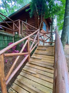 Cabana Dentro da Floresta- Chalés Perpétua Natureza - Santo Antônio do Pinhal - 5