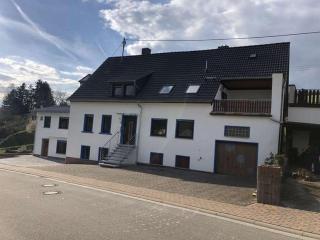 Ferienhaus Hoppstädten - 0