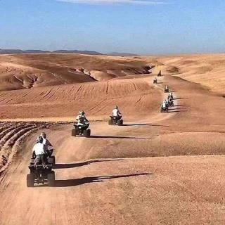 merzouga desert camp - 4