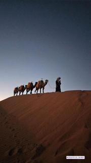 merzouga desert camp - 1