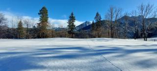 Golf Tarvisio - Tarvisio - 5