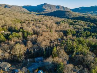 Spacious 4BR Mountain Retreat for 16 in Fairview - Fairview - 5