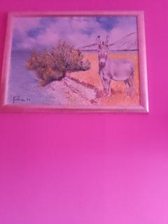 Pinky city life Split - 8