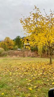Koti Mountain House - 8