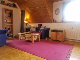 Apartment Chalet Kitzbühel - 0