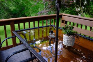 Cozy Hillside Chalet - Greek Peak, Cortland, Ithaca - Cortland - 3