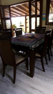 Villa Oasis cafetero - La Tebaida - 6