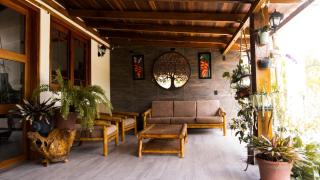 Villa Oasis cafetero - 3