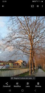 Creativhause 2 - San Giuliano Terme - 2