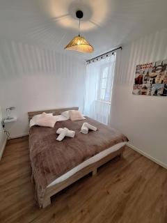 Notre Dame 1 - Vue sur la Loire - Rdc - Hypercentre - Orléans - 6