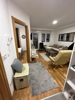 Apartman Suncani bregovi - Zlatibor - 3
