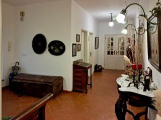 Quinta do Mastim - Évora - 8