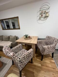 Apartman Suncani bregovi - Zlatibor - 8