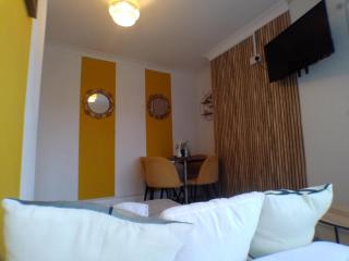 Contemporary expansive lower apartment - Birmingham - 9