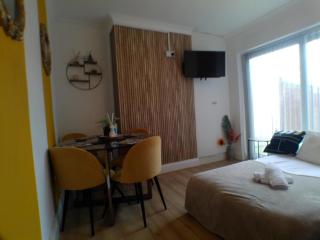 Contemporary expansive lower apartment - Birmingham - 5