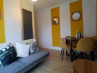 Contemporary expansive lower apartment - Birmingham - 2