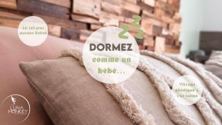 Luna Monkey, Chambre & Terrasse privée, Bourgoin Centre - Bourgoin - 3