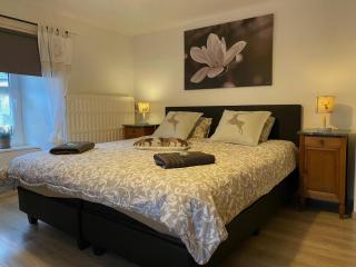 Holiday home in Ouren with infrared sauna - Burg-Reuland - 4