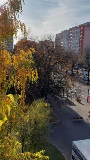 Central Panorama - Târgu Mureș - 4
