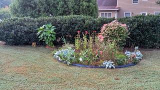20Miles from Atlanta Pet Friendly Private Backyard - Snellville - 9
