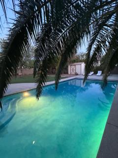 Spacious Luxury Desert Retreat with Heated Pool Putt putt and a playground for family - 5