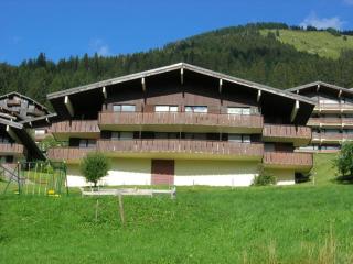 Châtel : Duplex cosy pour 4 pers avec coin montagne - FR-1-198-268 - Châtel - 5