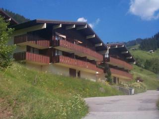 Châtel : Duplex cosy pour 4 pers avec coin montagne - FR-1-198-268 - Châtel - 4