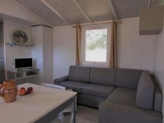 Mobil-home cosy, 3 chambres, proche plage, jardin fermé, BBQ, animaux admis - FR-1-479-183 - Erdeven - 8