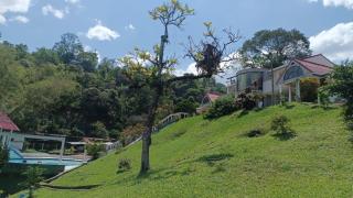 Finca Casa Real la Vega - 2