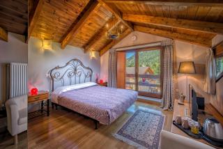 ViP Chalet 4 Seasons - 4
