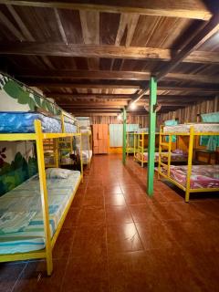 Madre Selva Hostel - Puerto Viejo - 1