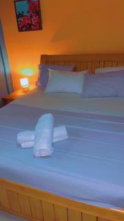 Mango Lodge Gambia - 4