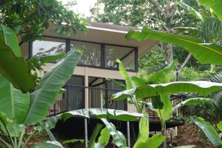 Maze Lodge - Puerto Jiménez - 7