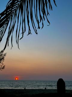 Marari Anandu Beach Villa - Mararikulam - 4