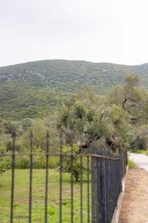 Private holiday house with garden next to the beach - 4