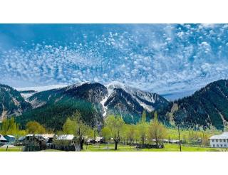 AJ Resort, Dawar - - 8