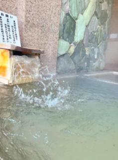 和みの宿 いろり 甘露の湯付き - Shirahama - 2