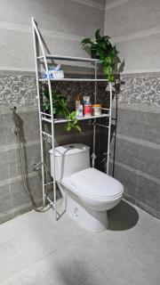 الجاكرندا الدرعيه البجيري - Riyad - 3