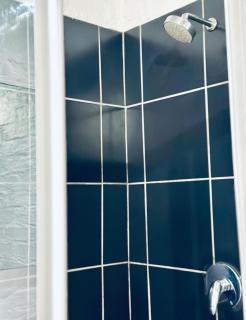 Champagne apartment on Main - 5