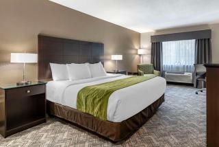 Comfort Inn & Suites Tualatin - Lake Oswego South - Tualatin - 4