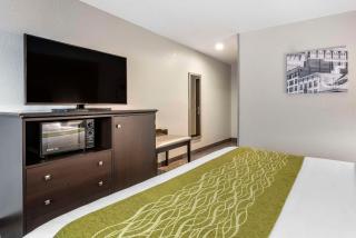 Comfort Inn & Suites Tualatin - Lake Oswego South - Tualatin - 2