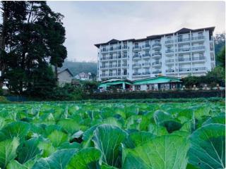 Highland View - Nuwara Eliya - 2