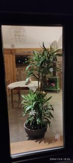 gîte au jardin romantique pour 2 personnes - Langensoultzbach - 1