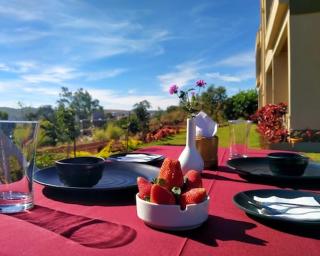 Divine Resort- Bhilar - Panchgani - 8