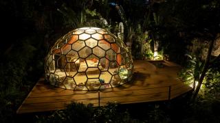 The Honey Trap - Glamping at Karuna El Nido - 5