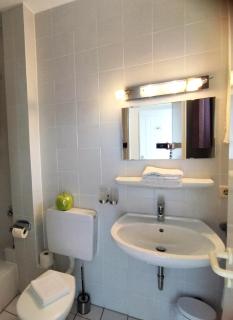 Modernes 1-Zimmer-Appartement im Kurgebiet von Bad Kreuznach - Bad Kreuznach - 1