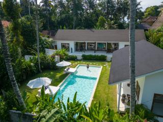 Modern and stylish 3 Bedroom Villa - Ubud - 6