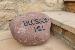 Blossom Hill - Witney - 8