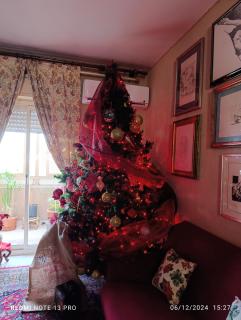 MAMY PENTHOUSE - Palermo - 1