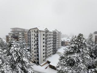 Golden Pine Lux Wellness and Spa - 8